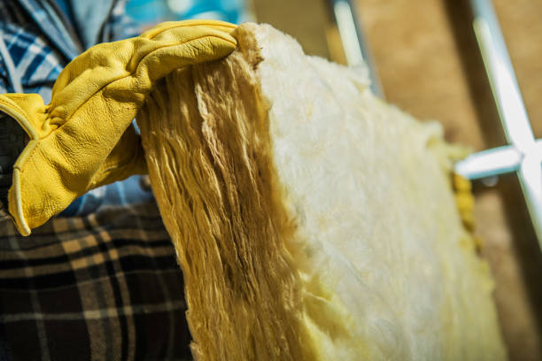 Best Insulation Removal  in Marion, PA
